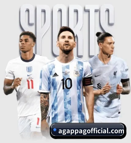 五大体育板块覆盖,从比分到直播全覆盖 - 多运动项目内容板块（AGAPP）